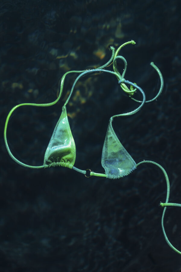 Ariel Top - Imagen 3