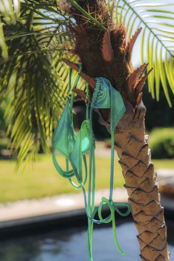 Ariel Top - Imagen 8